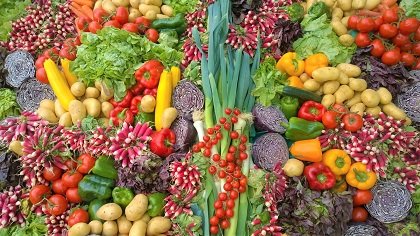 exportaciones agroalimentarias frutas hortalizas