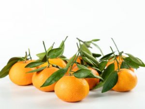 mandarina seedless US Early Pride